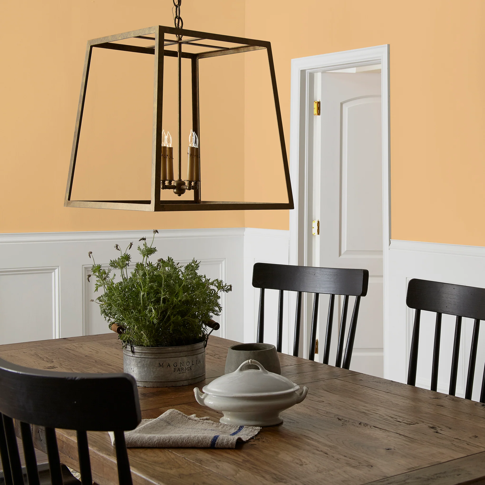 Amber - Premium Interior Paint - Image 5