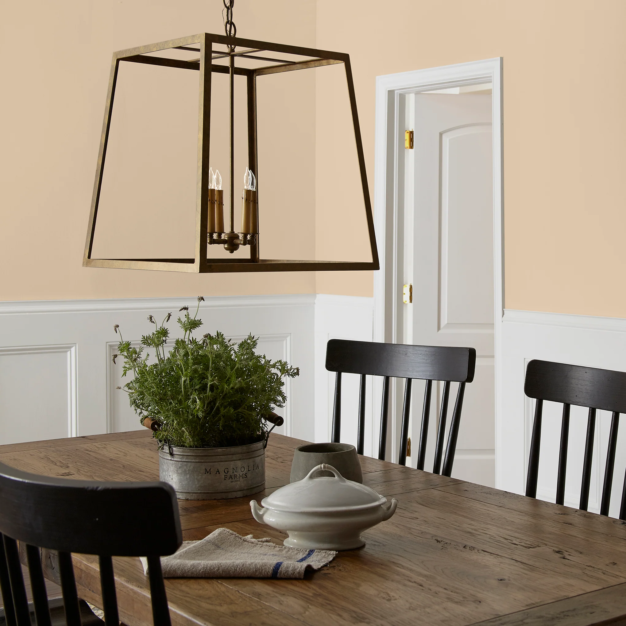 Ambient Light - Classic Interior Paint - Image 7