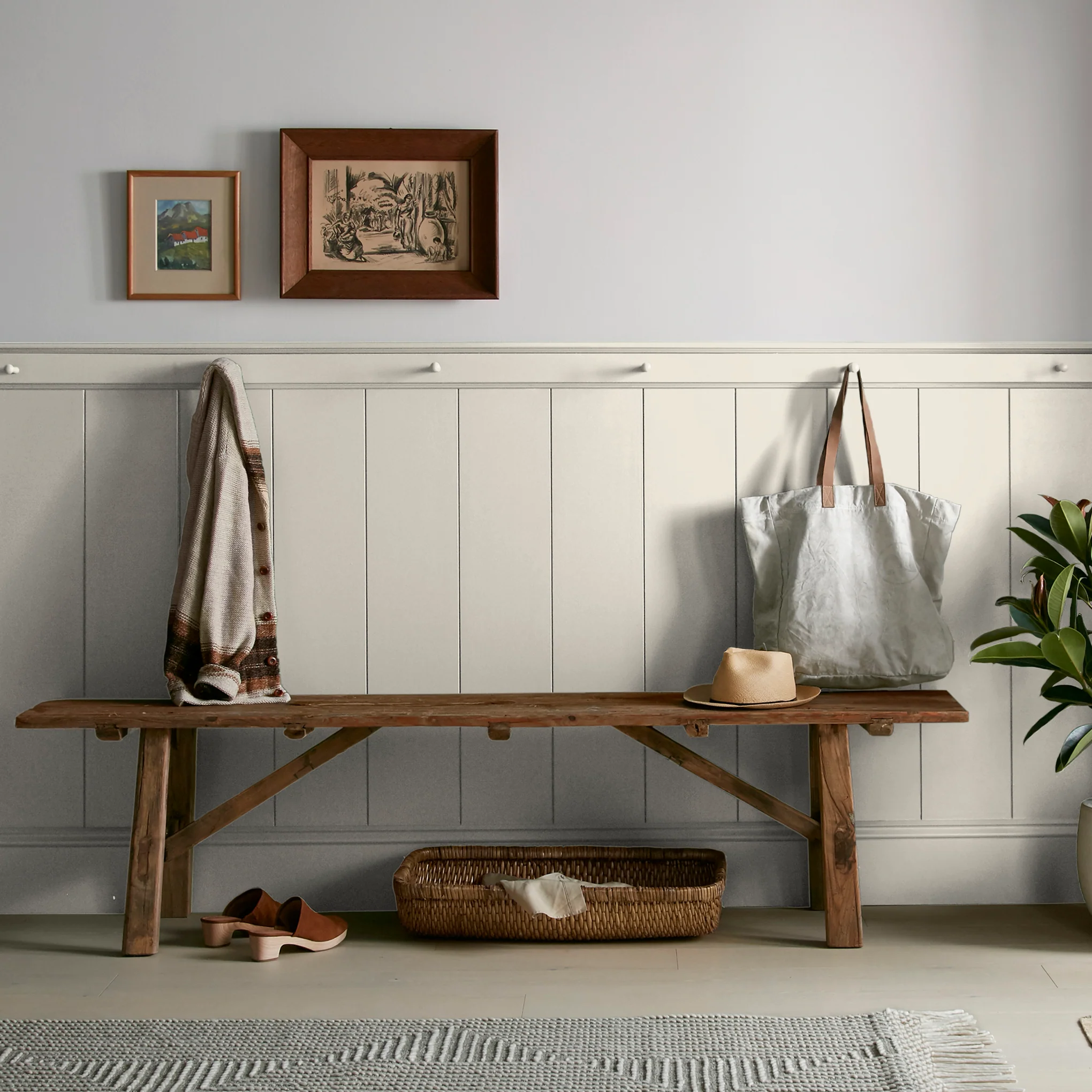Blanched  -  Premium Interior Paint - Image 6