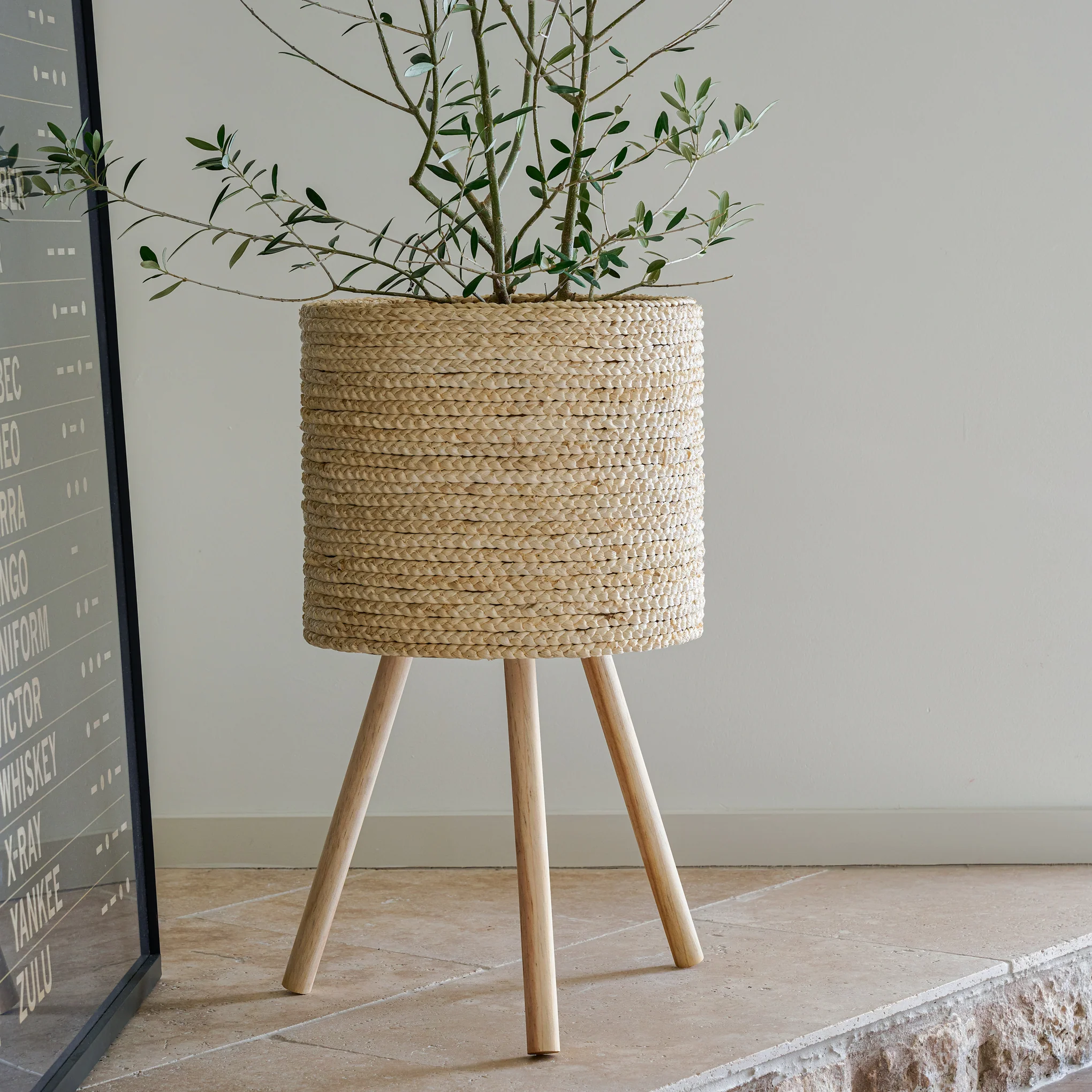 Bleached Woven Plant Stands - Image 6