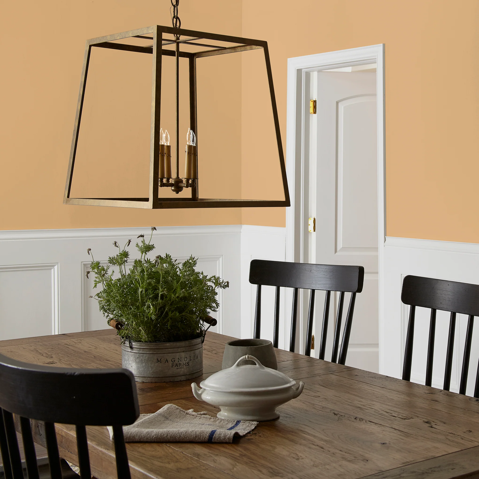 Bright Days  -  Premium Interior Paint - Image 5
