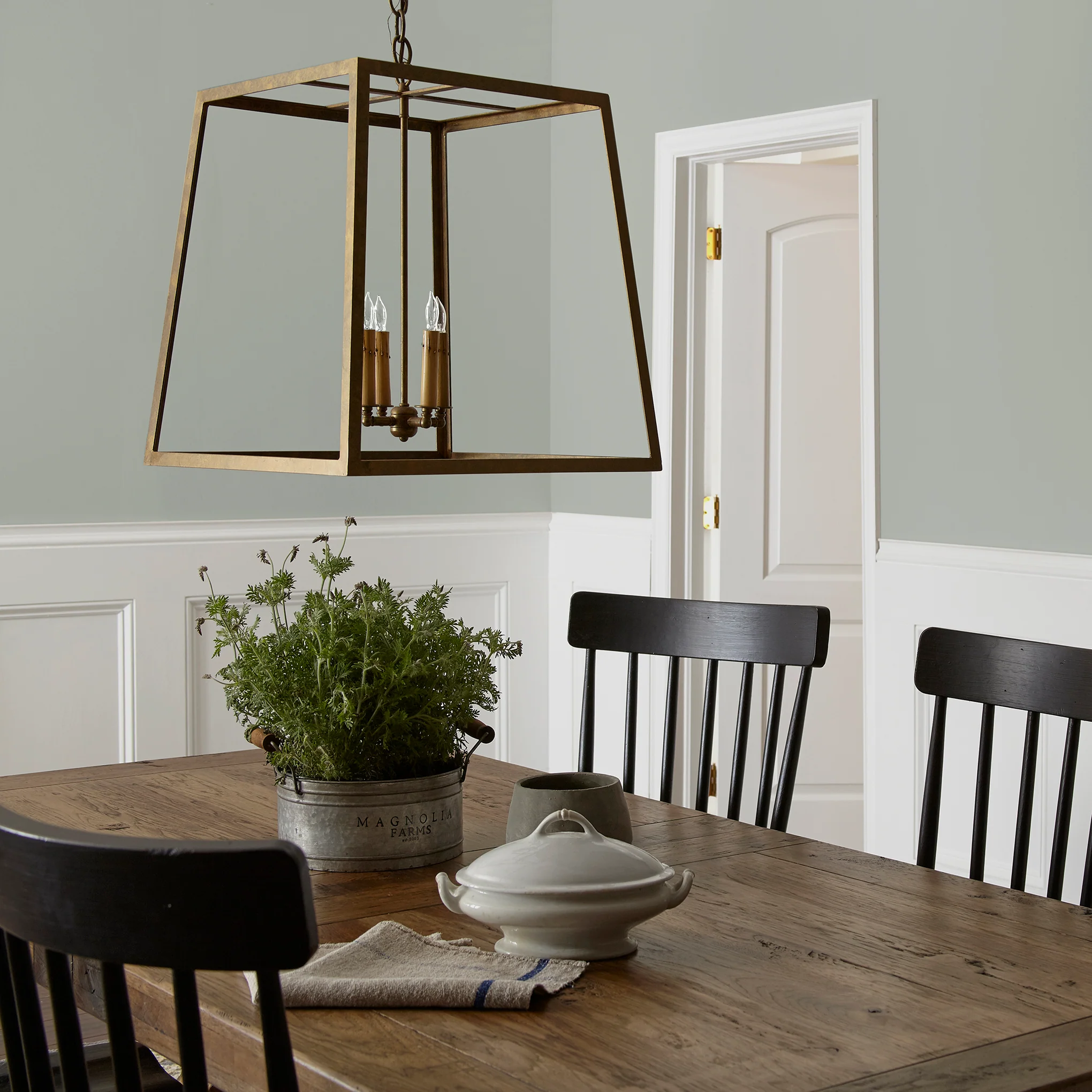 Early Riser  -  Premium Interior Paint - Image 5