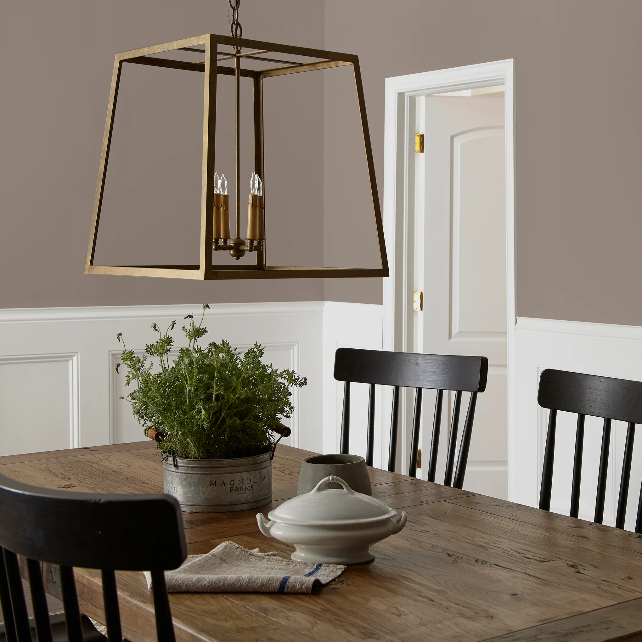 Elemental - Classic Interior Paint - Image 5