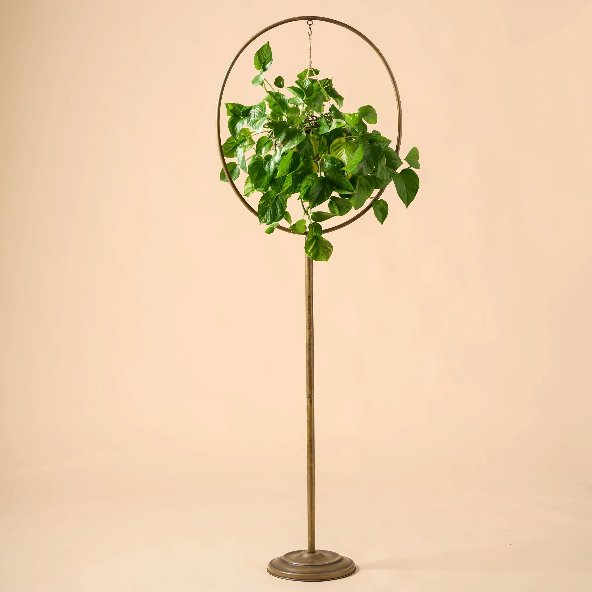 Hayden Plant Stand - Image 5