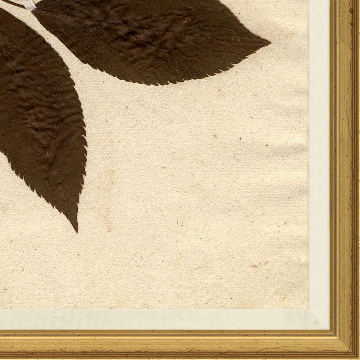 Pressed Floral I - Image 2