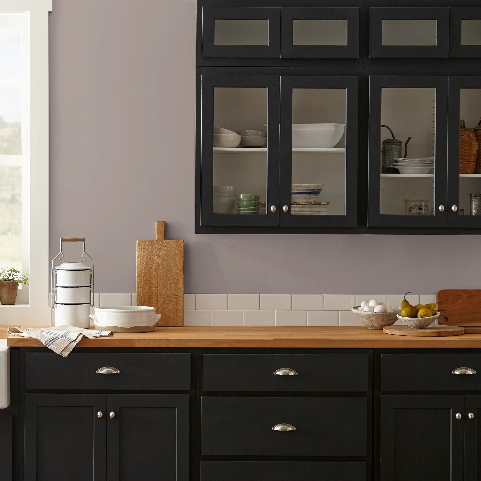 Homebody  -  Premium Interior Paint - Image 7