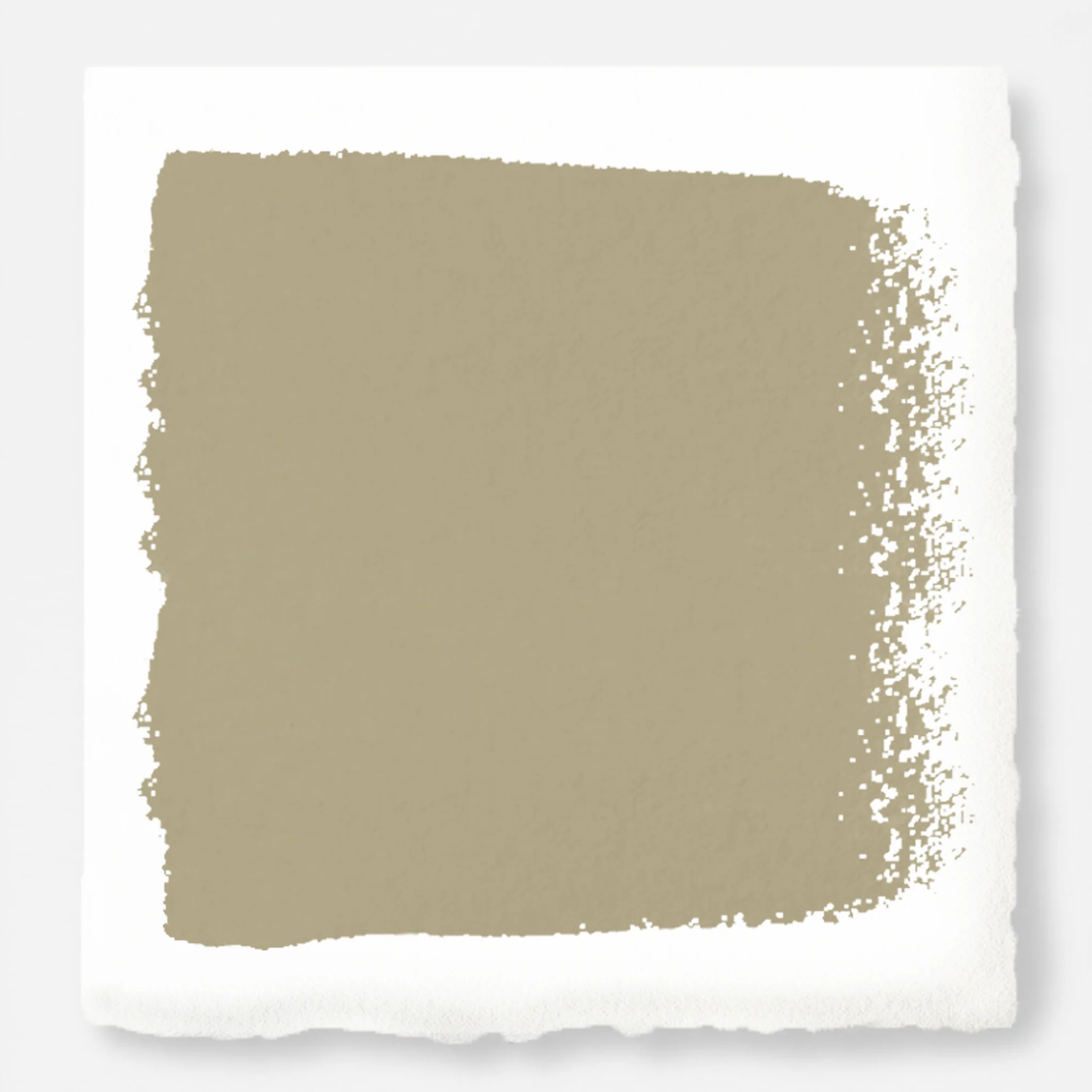 Juniper Tree - Chalk Style Paint
