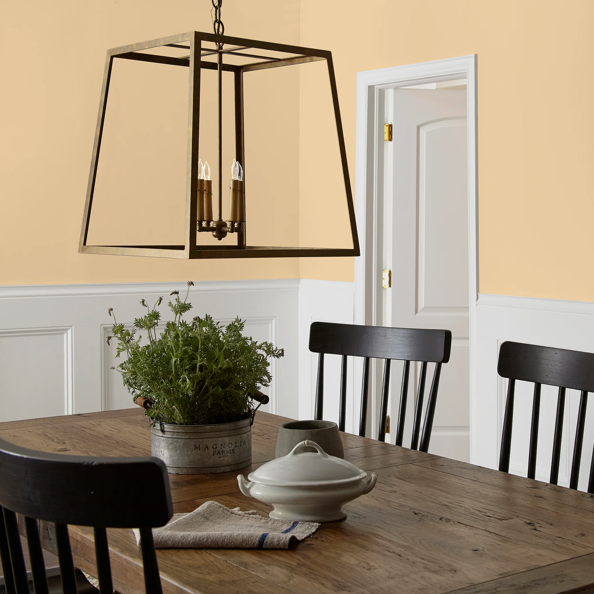 Lemony - Premium Interior Paint - Image 5