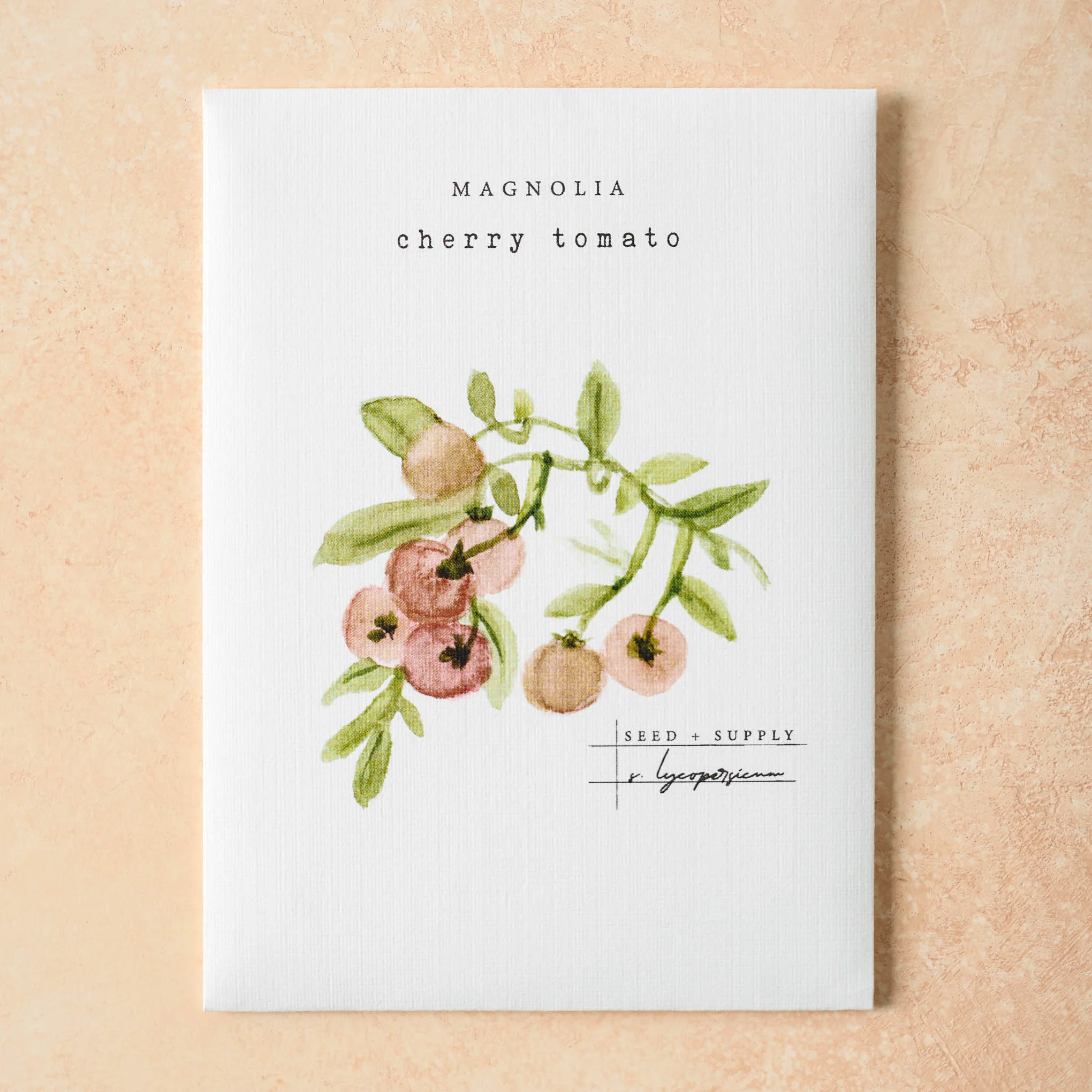 Watercolor Magnolia Seeds - Image 5