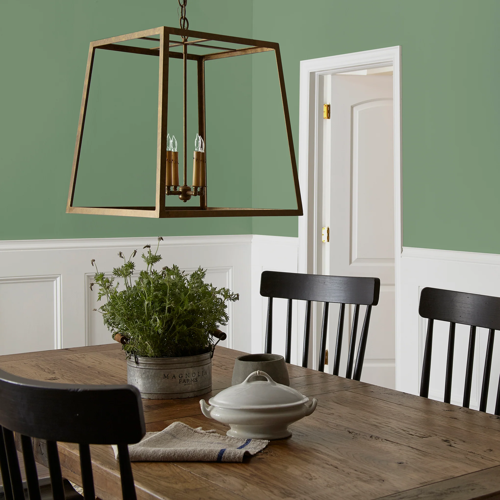 Magnolia Green - Premium Interior Paint - Image 5