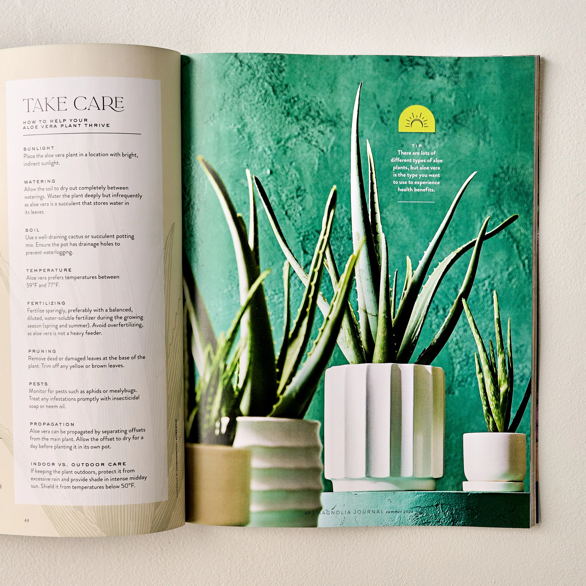 Magnolia Journal Summer 2024 - Image 3