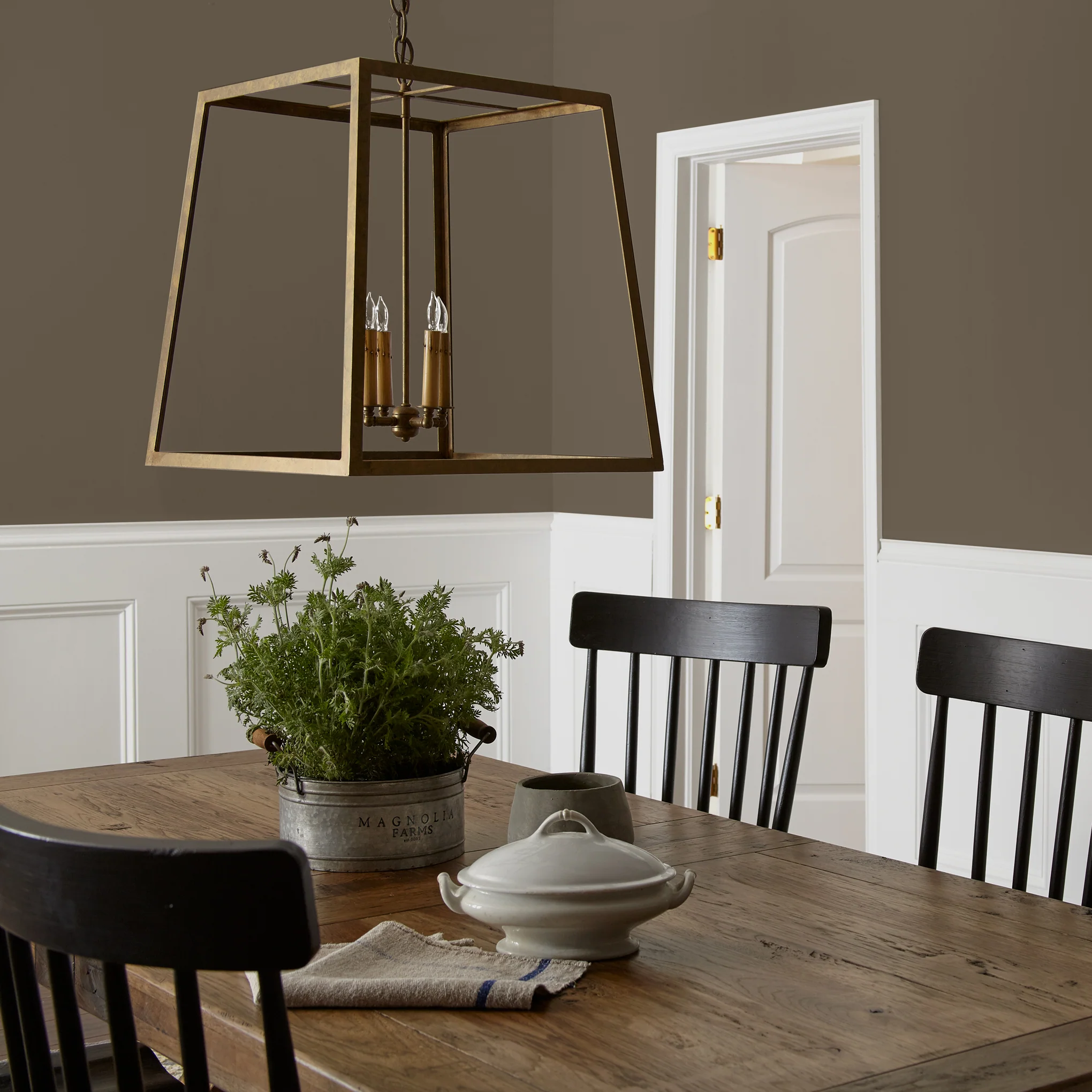 Mosswood - Classic Interior Paint - Image 3