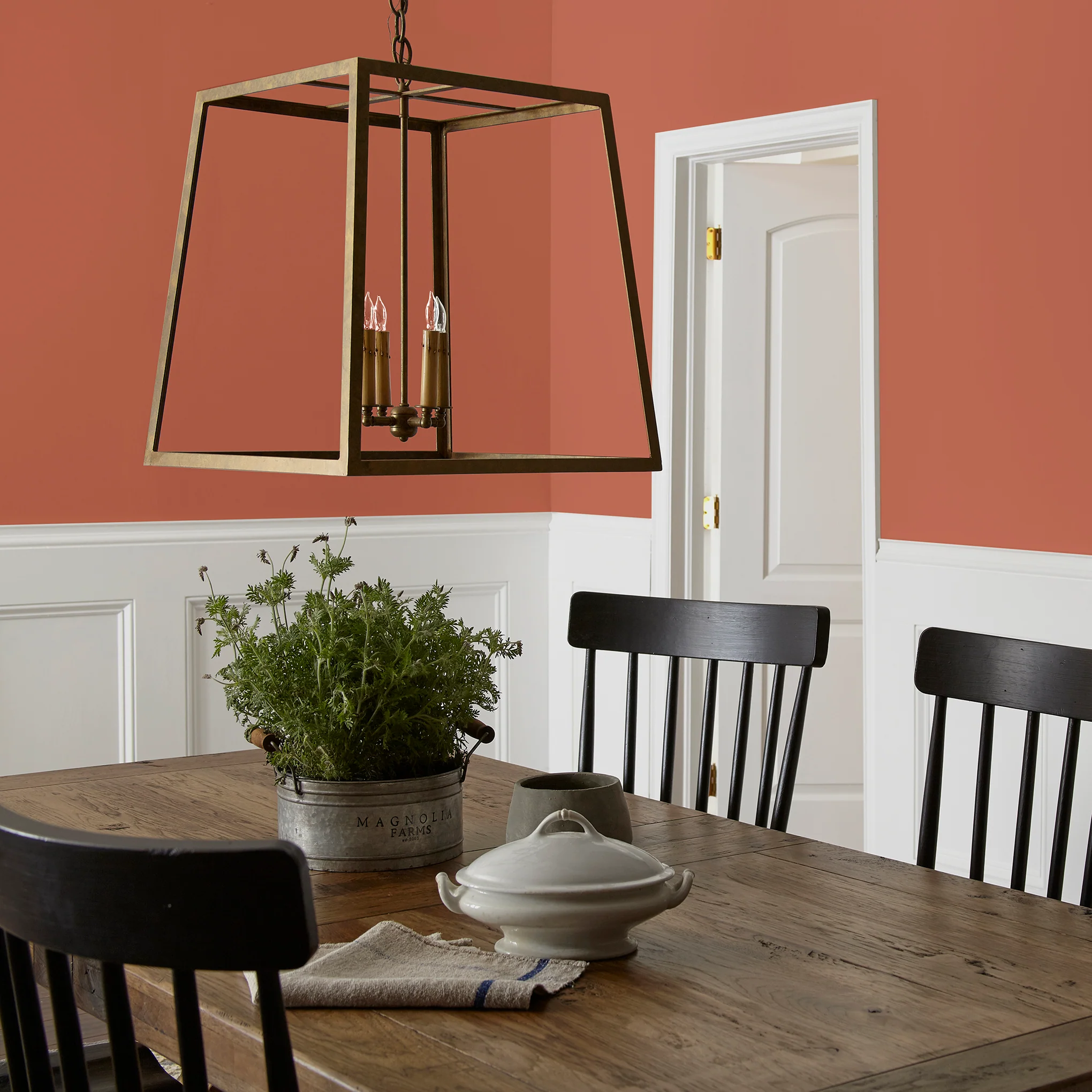 On Bosque - Classic Interior Paint - Image 5
