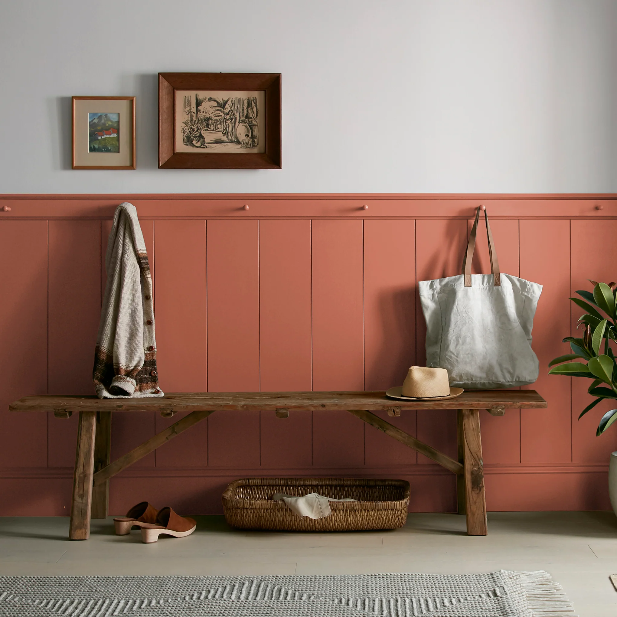 On Bosque - Classic Interior Paint - Image 6