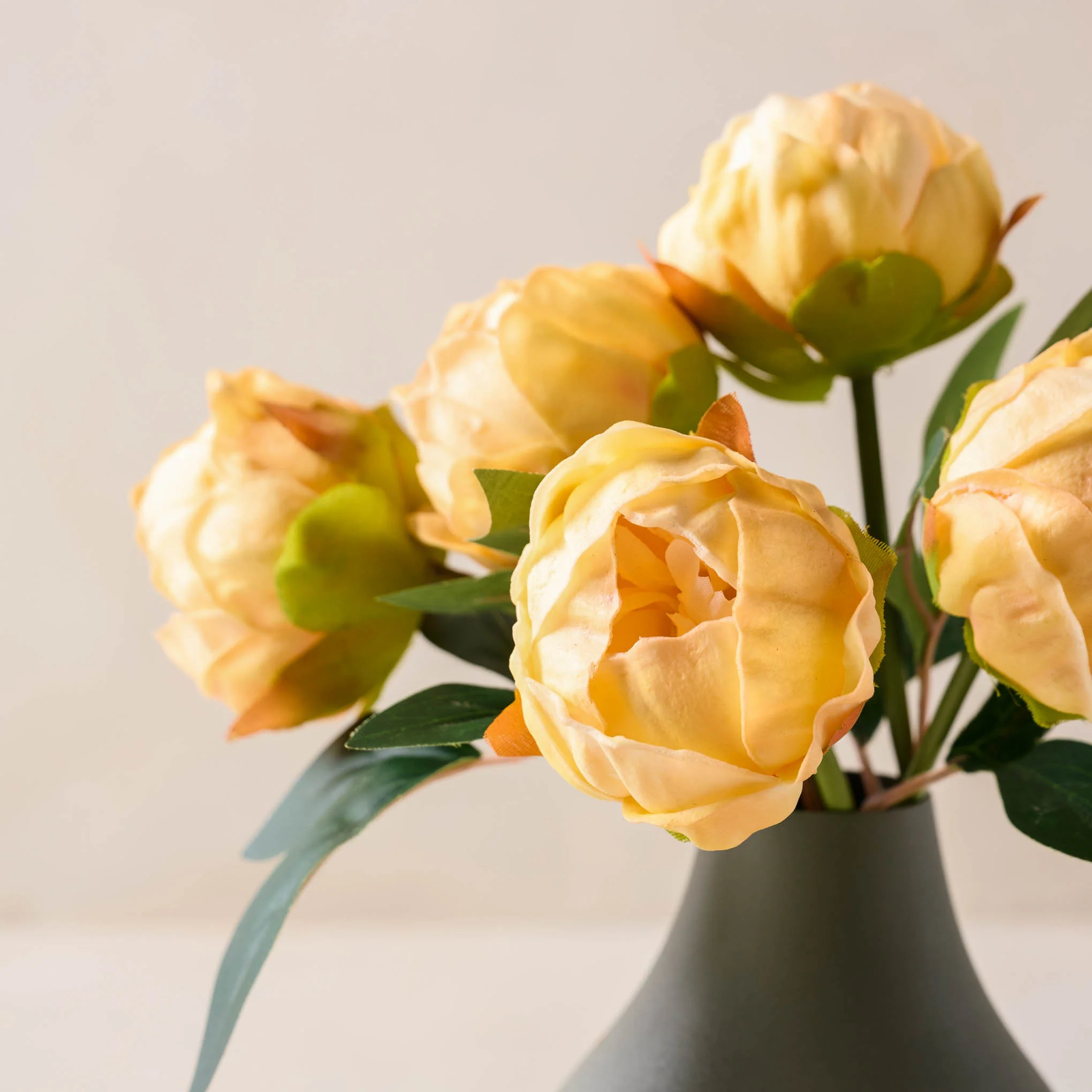 Peony Bundle - Image 10