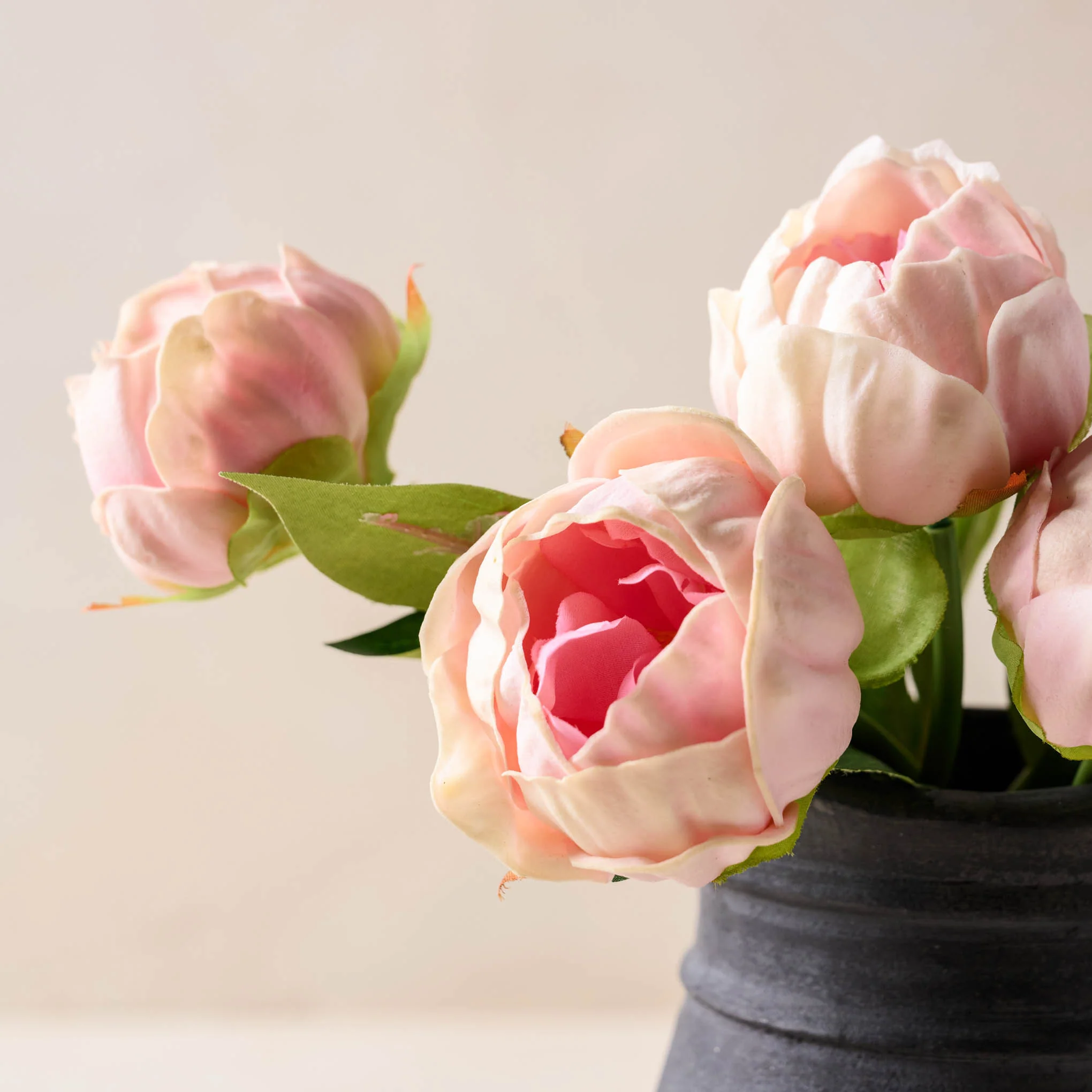 Peony Bundle - Image 11