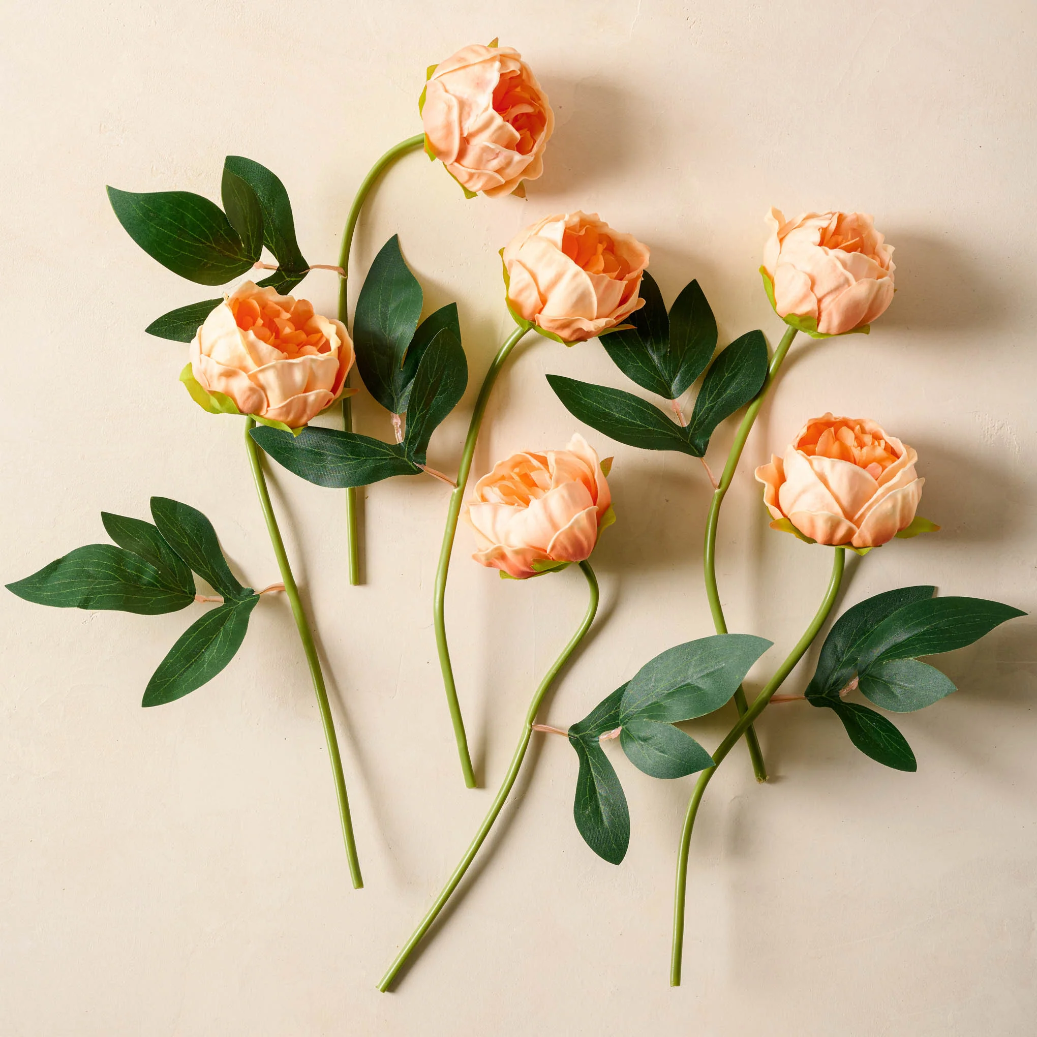 Peony Bundle - Image 12