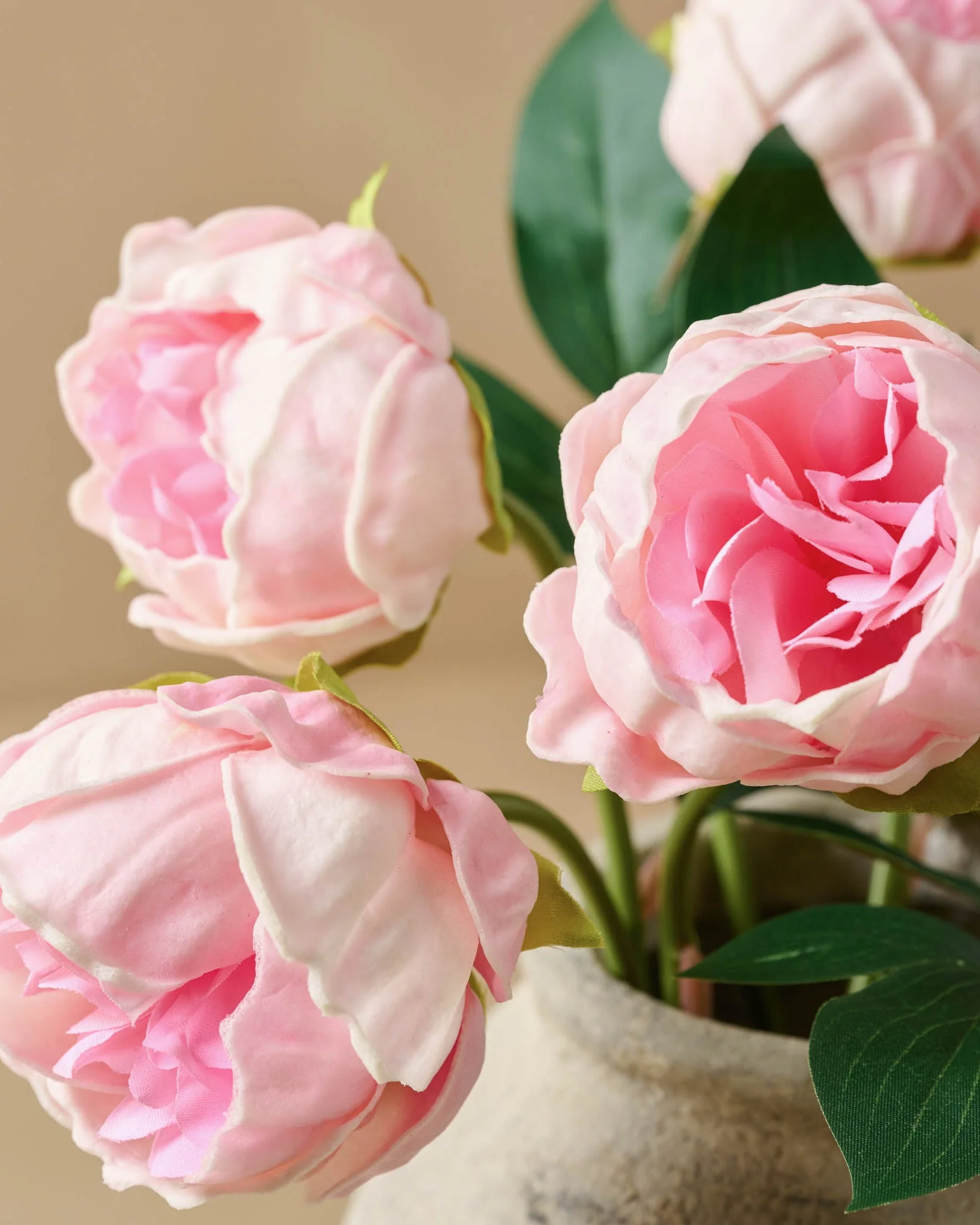 Peony Bundle - Image 16