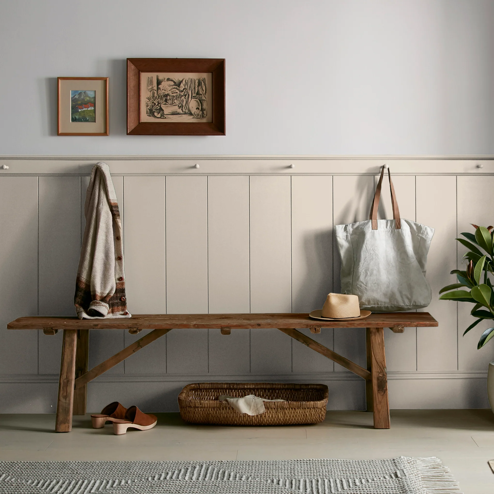 Plaster - Premium Interior Paint - Image 4