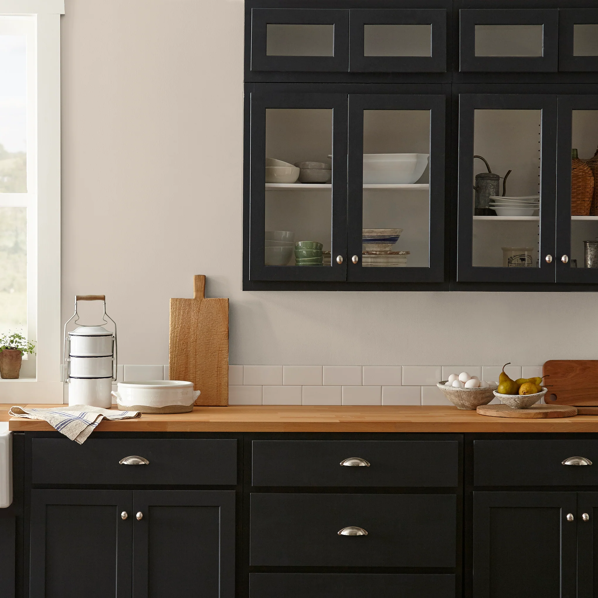 Plaster - Premium Interior Paint - Image 3