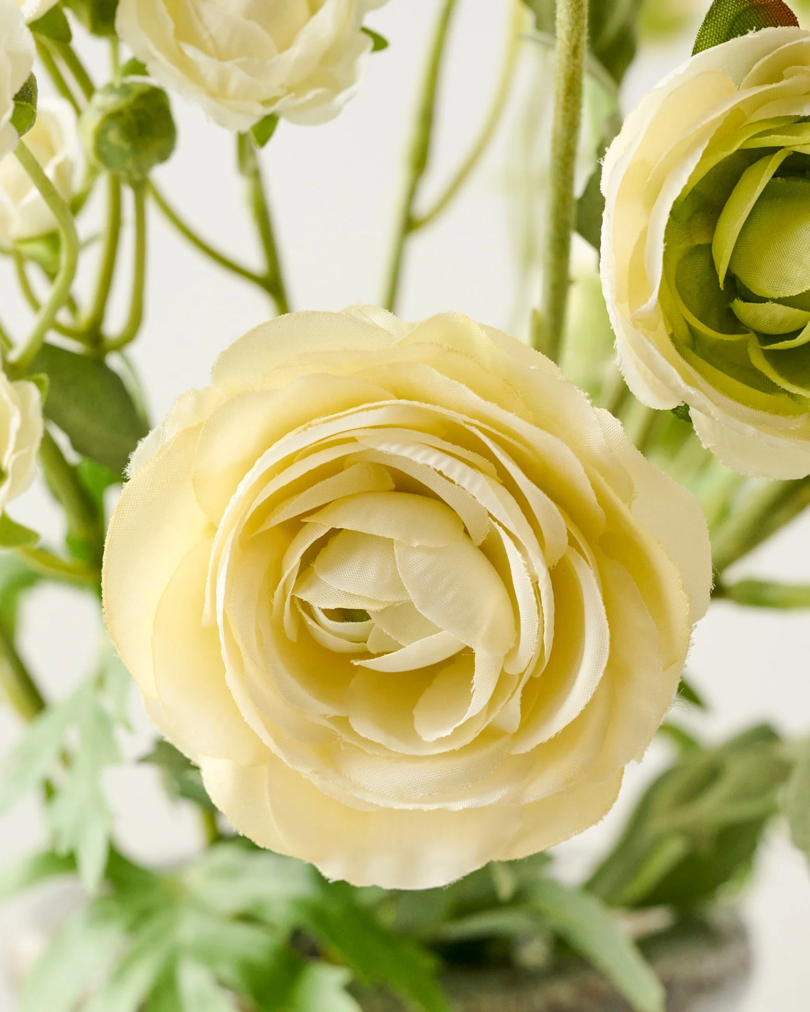 Ranunculus Bloom Bundle - Image 10
