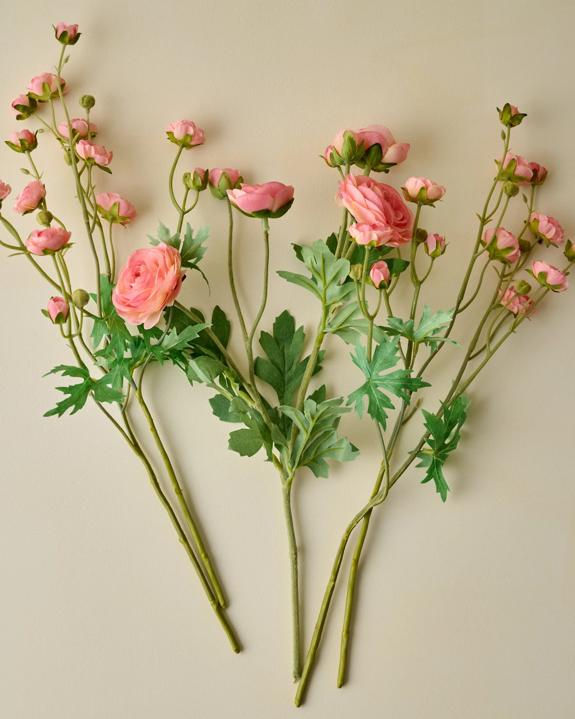 Ranunculus Bloom Bundle - Image 11
