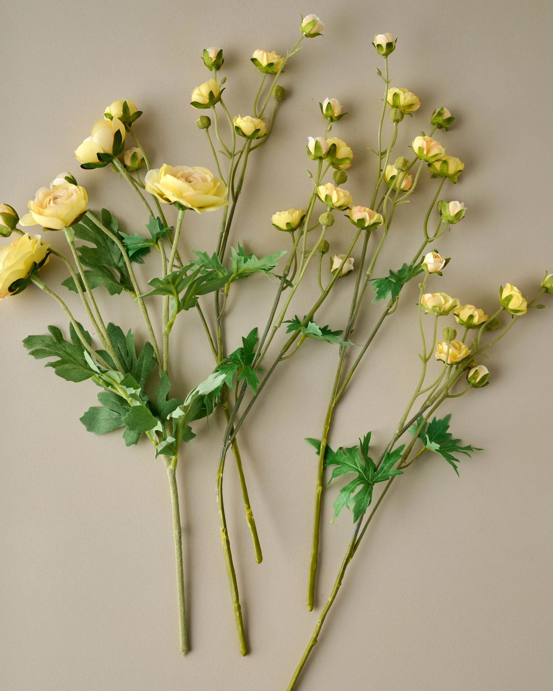 Ranunculus Bloom Bundle - Image 12