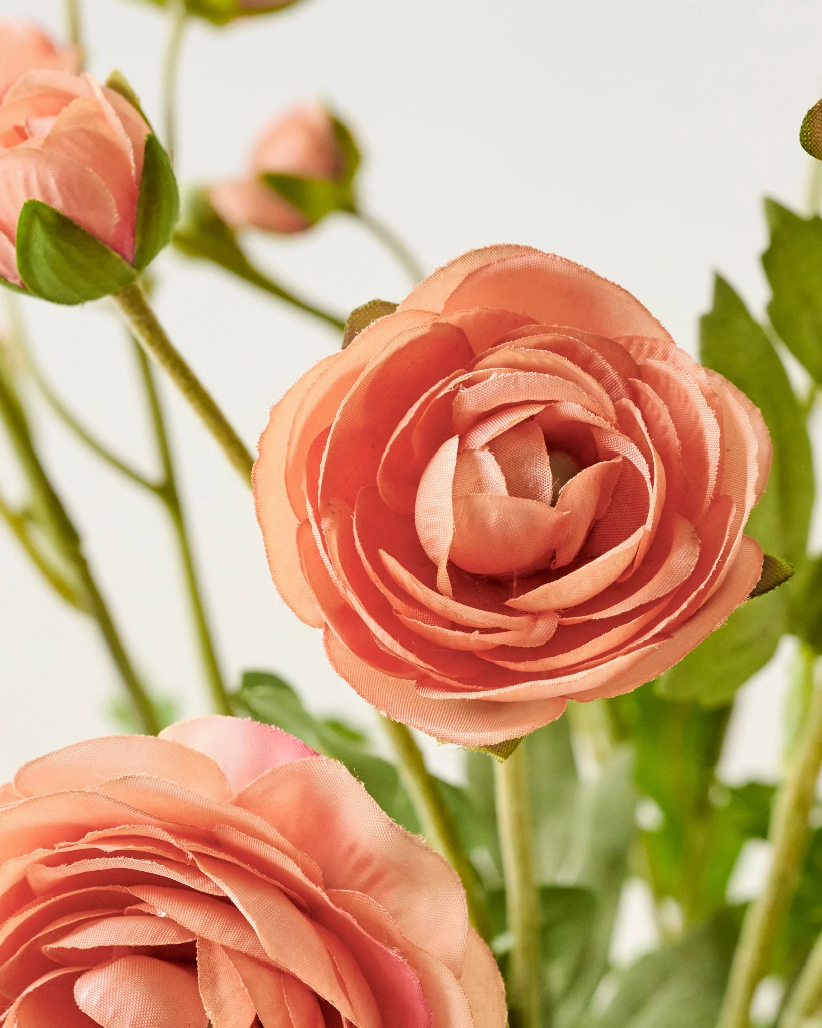 Ranunculus Bloom Bundle - Image 7