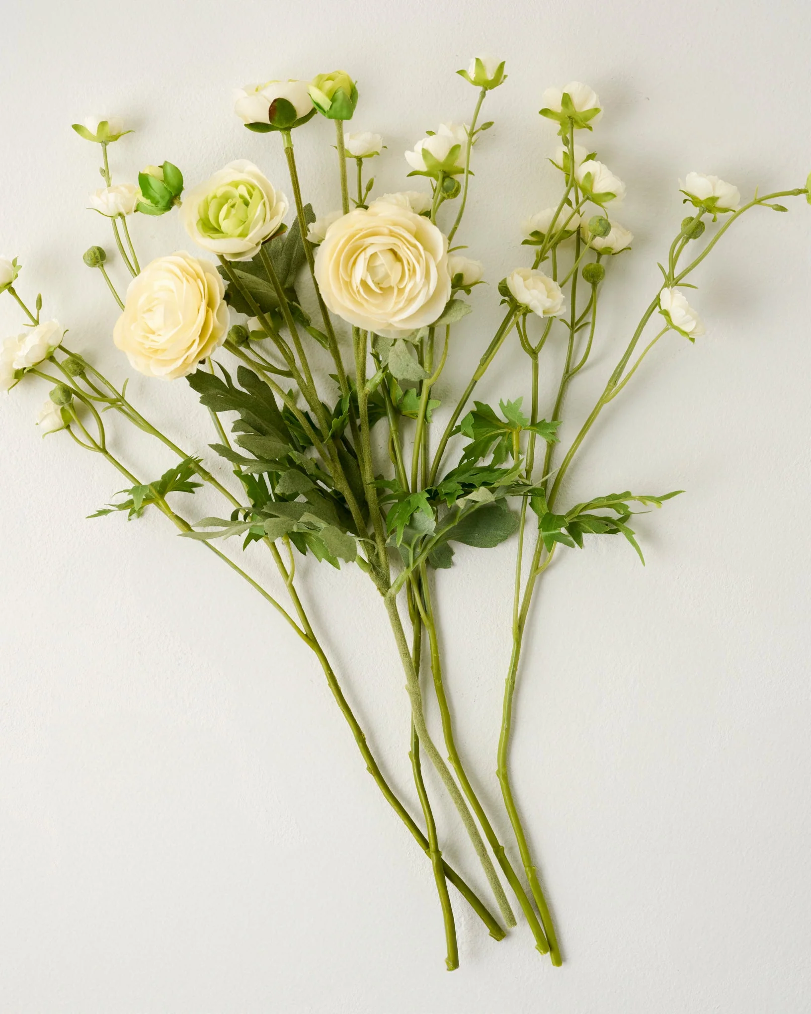 Ranunculus Bloom Bundle - Image 9