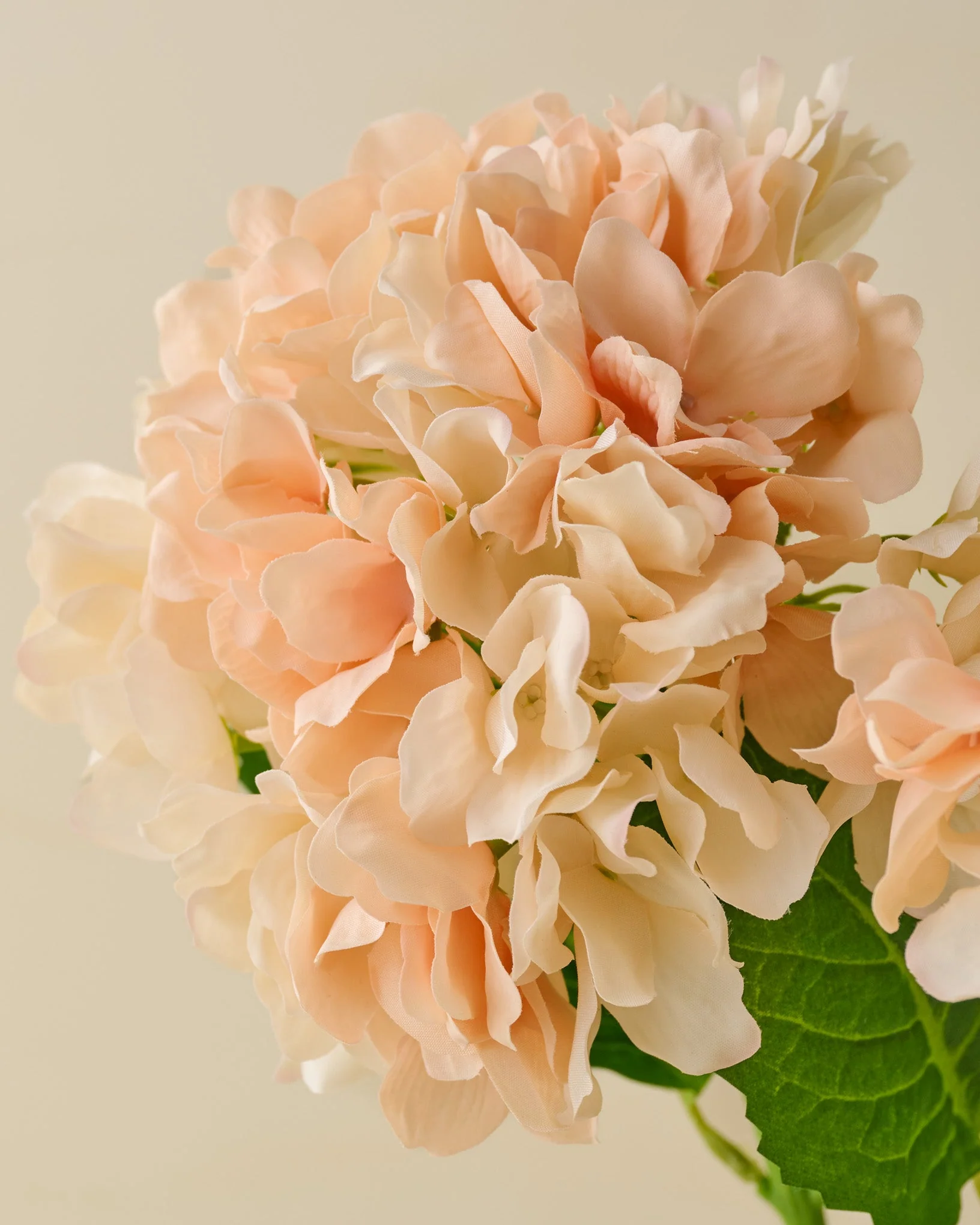 Real Touch Hydrangea Bundle - Image 8