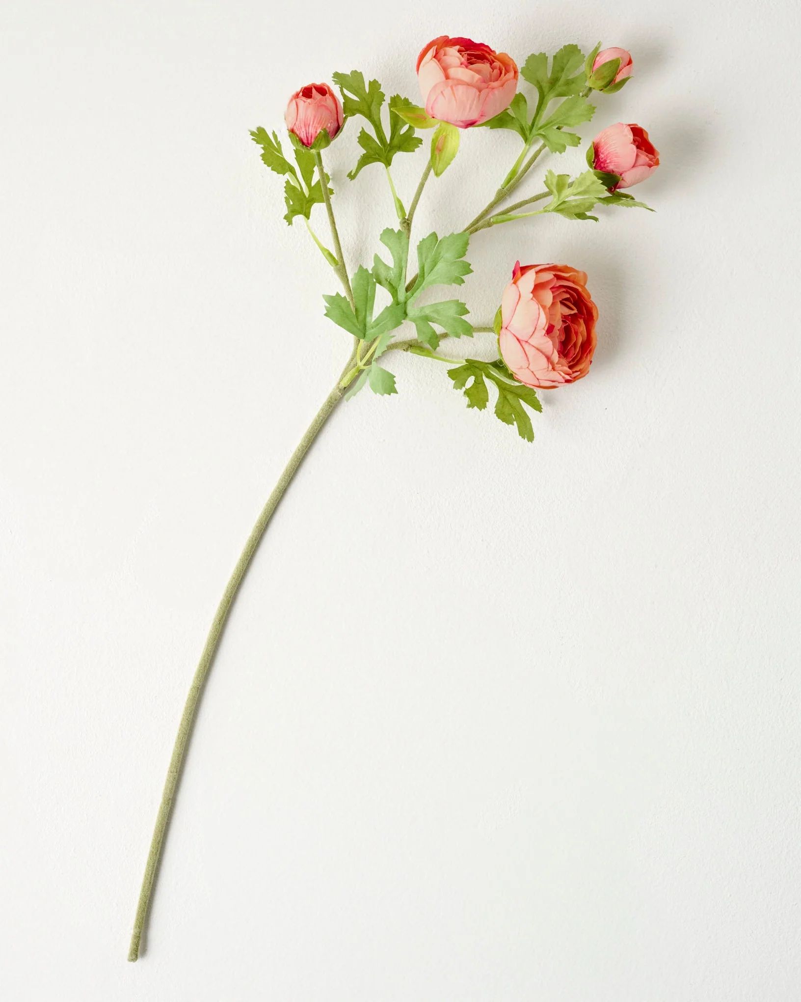 Real Touch Ranunculus Stem - Image 3
