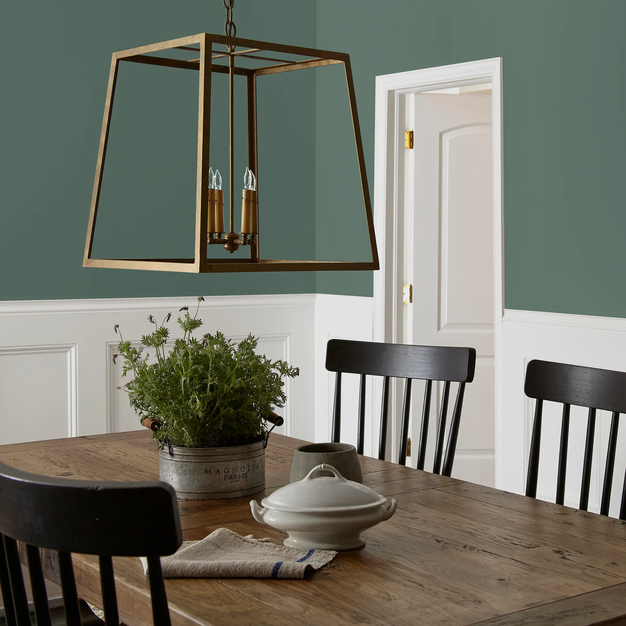 Regal Leaf - Premium Interior Paint - Image 5
