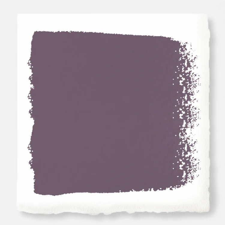 Webster Avenue  -  Premium Interior Paint