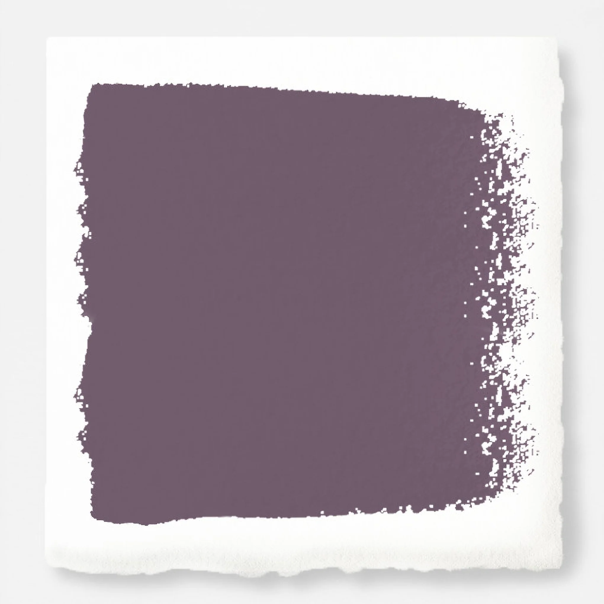 Webster Avenue - Classic Interior Paint